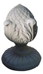 Acorn