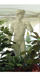 David